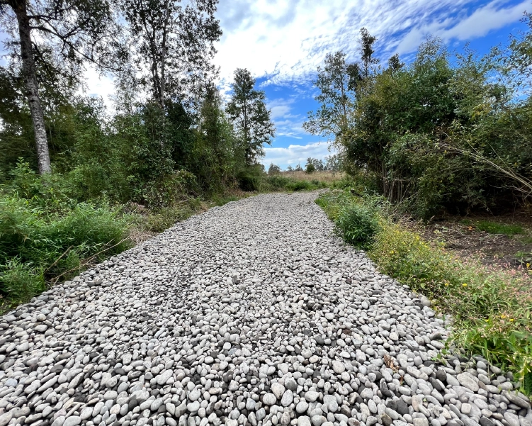 2Caminos