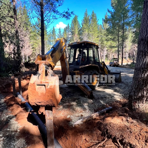 1- SERVICIOS FORESTALES