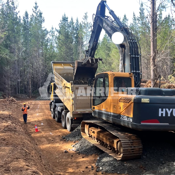 2- SERVICIOS FORESTALES