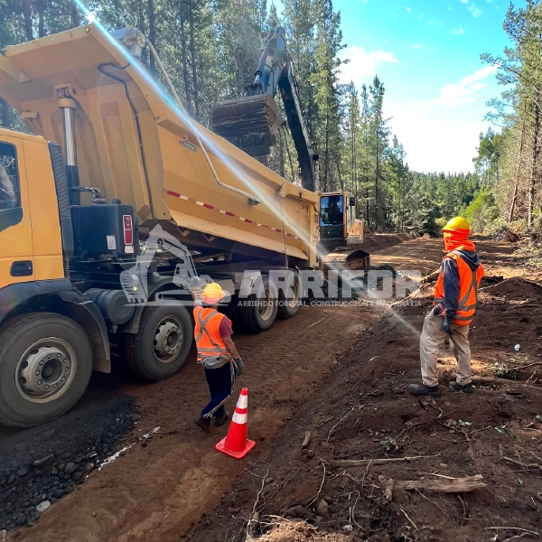 4- SERVICIOS FORESTALES